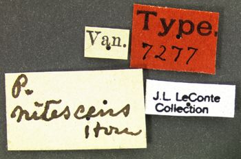 Media type: image;   Entomology 7277 Aspect: labels